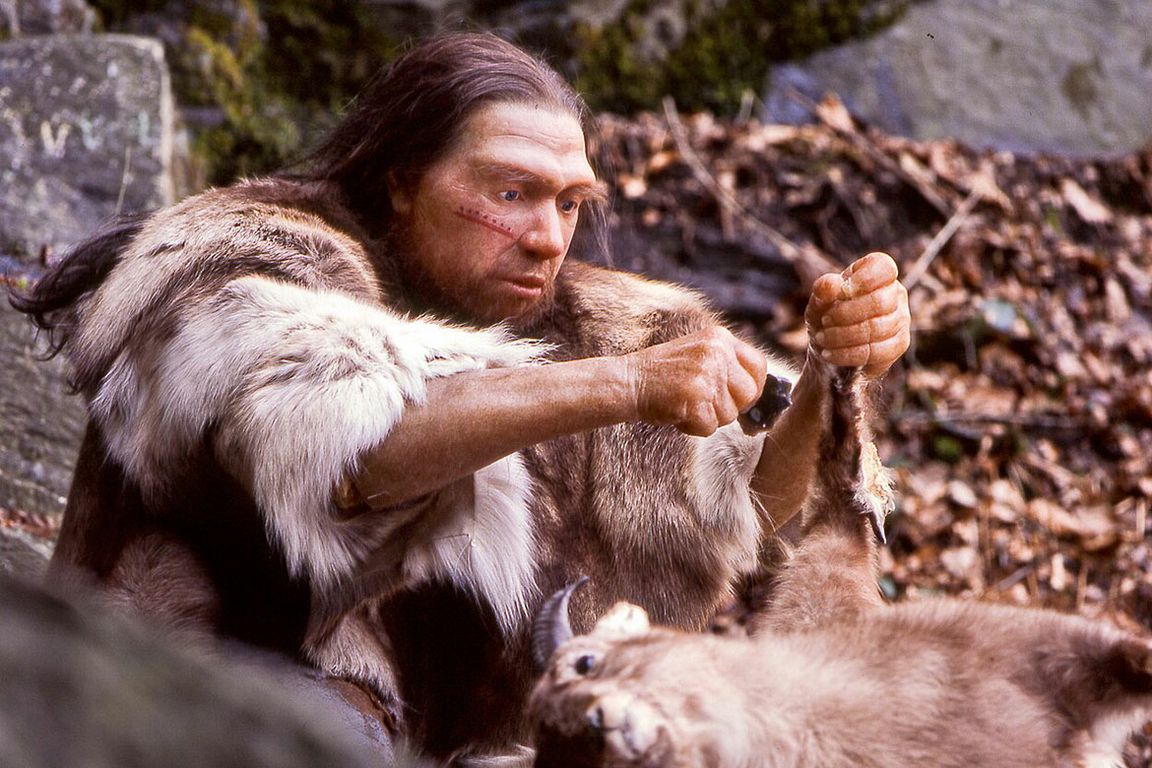 A lifelike museum reconstruction of a Neanderthal hunter crouching outdoors among rocks and fallen leaves, using a stone tool to process a small animal carcass. He wears animal fur and has long dark hair and a facial marking.
